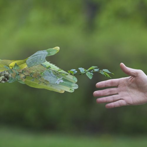 Hand of a businessman reach out towards hand of the nature